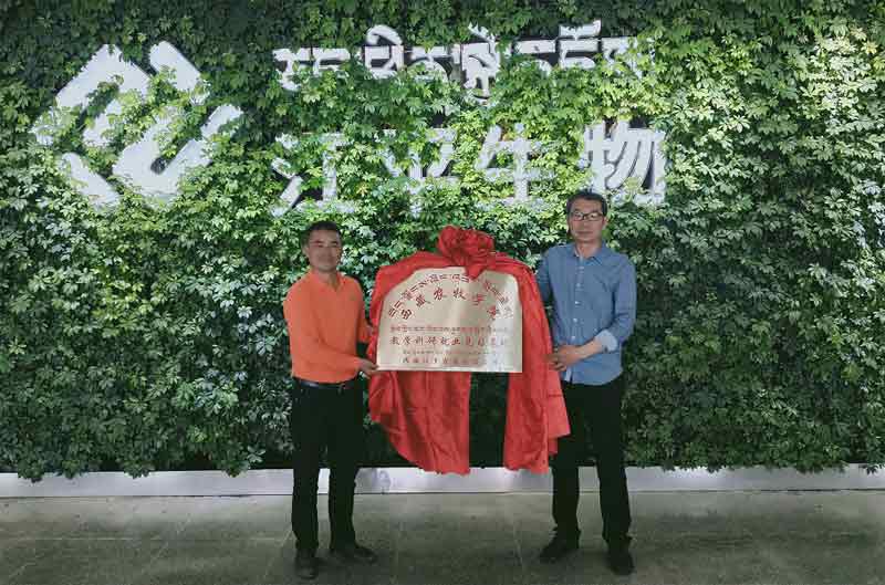 非凡国际(中国区)-官方网站