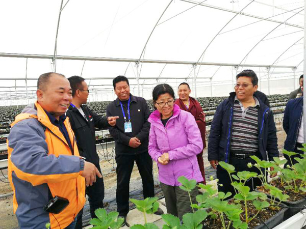 非凡国际(中国区)-官方网站