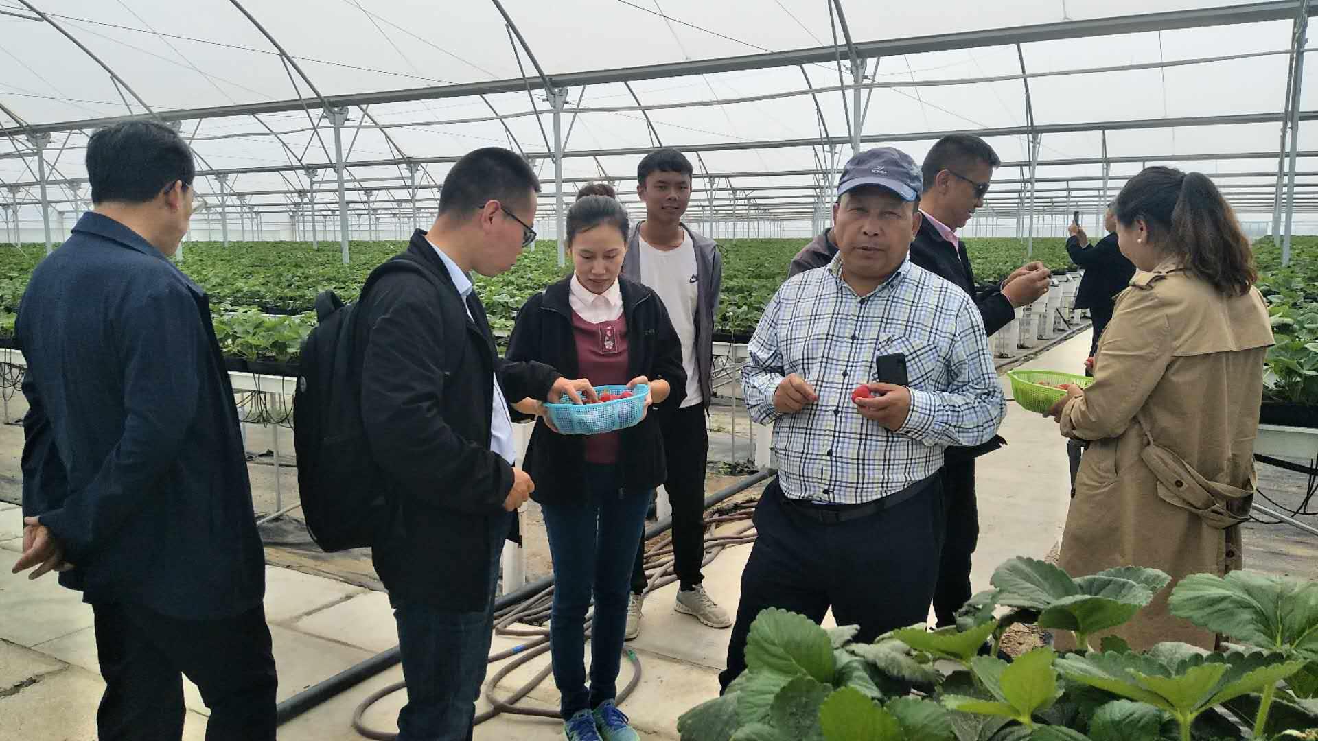 非凡国际(中国区)-官方网站