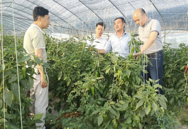 非凡国际(中国区)-官方网站