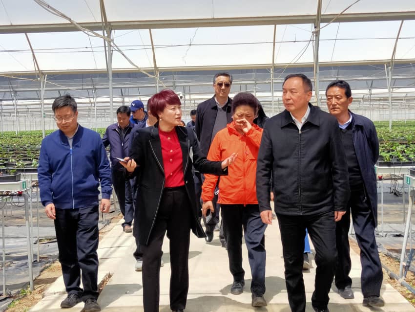 非凡国际(中国区)-官方网站