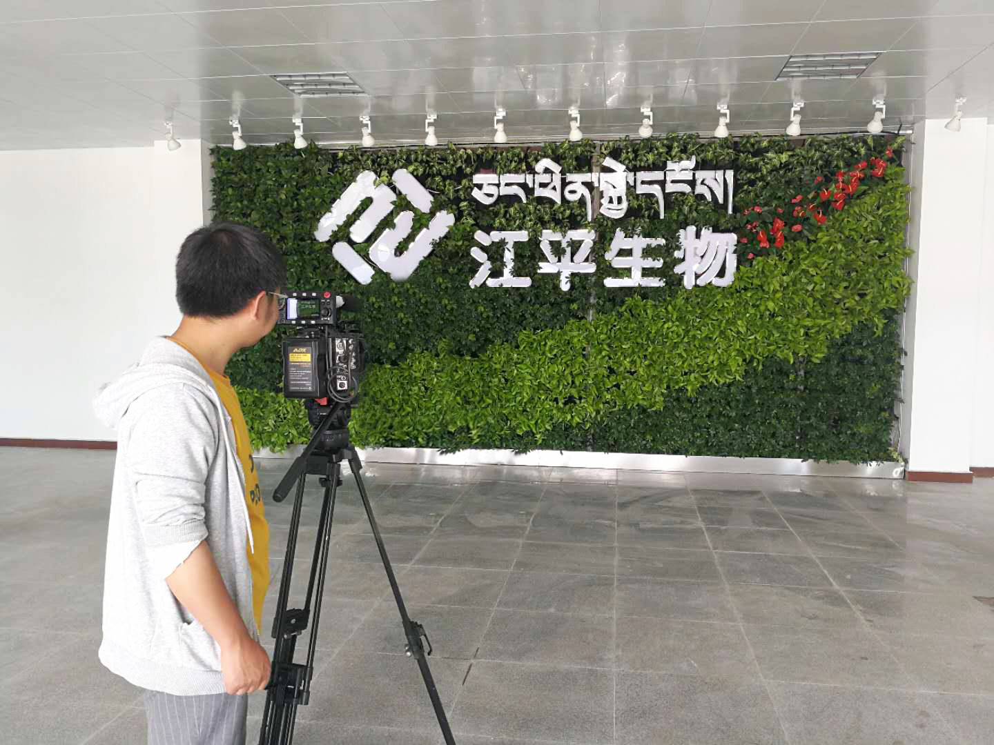 非凡国际(中国区)-官方网站