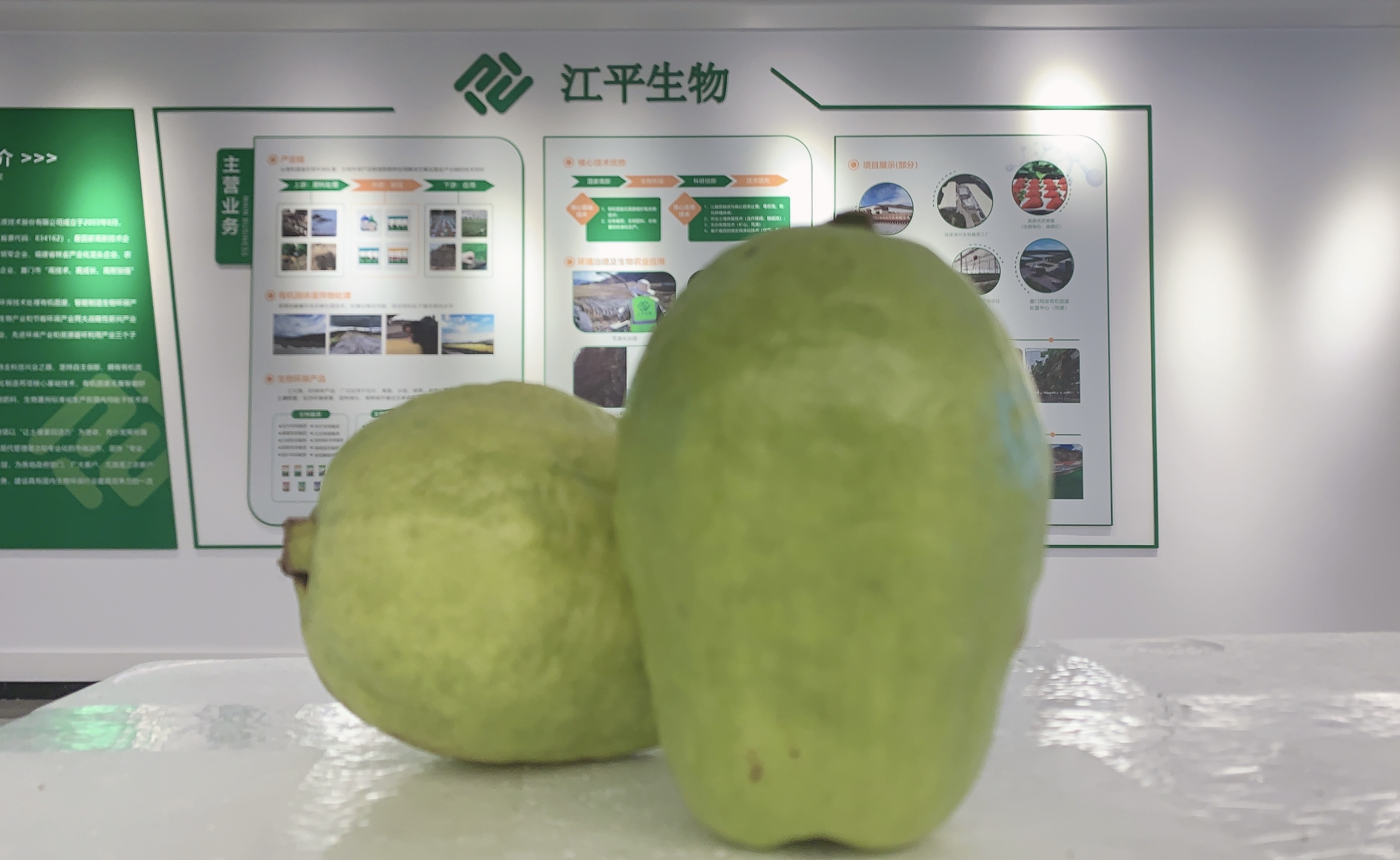非凡国际(中国区)-官方网站