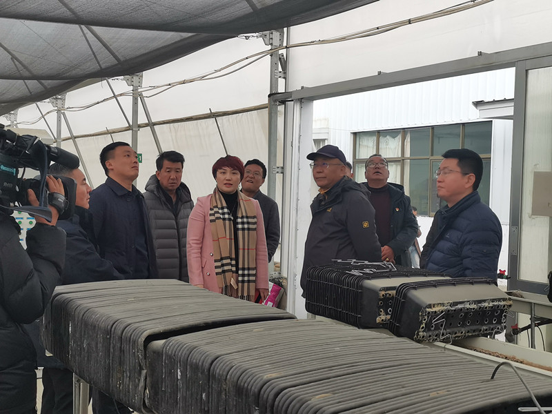 非凡国际(中国区)-官方网站